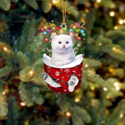 Cat 4 In Snow Pocket Christmas Ornament - Best gifts your whole family