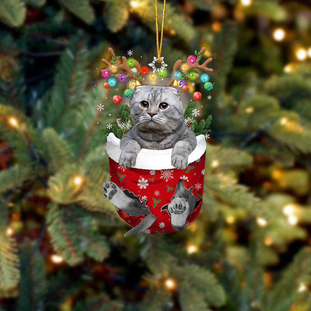 Cat 40 In Snow Pocket Christmas Ornament - Best gifts your whole family