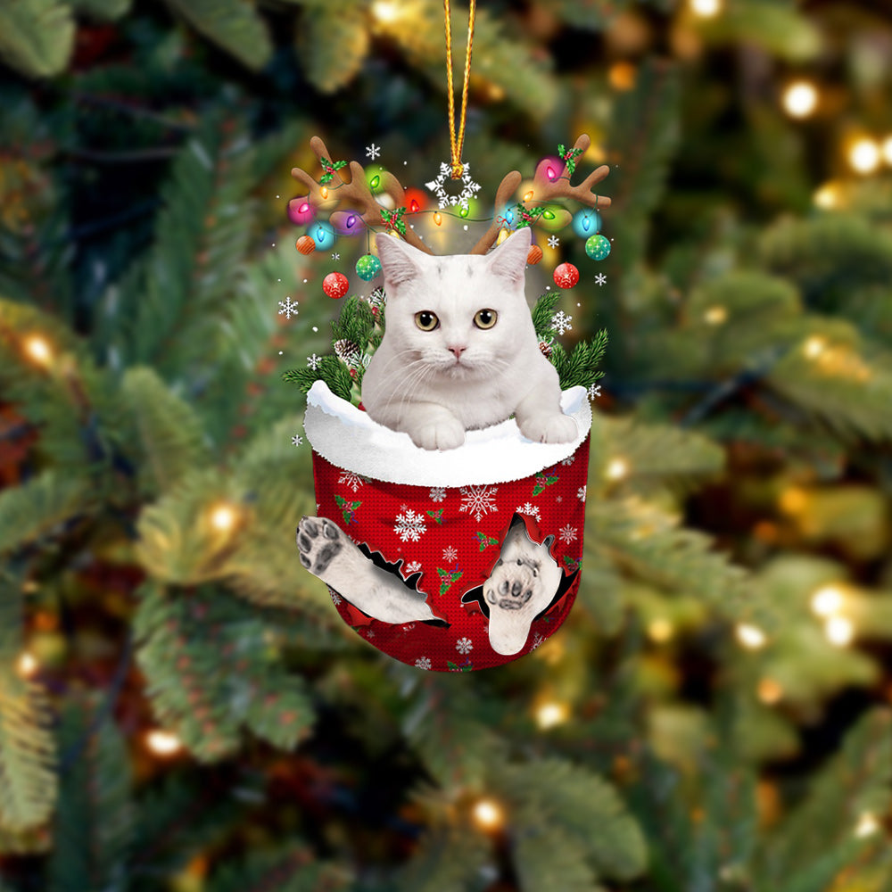 Cat 45 In Snow Pocket Christmas Ornament - Best gifts your whole family