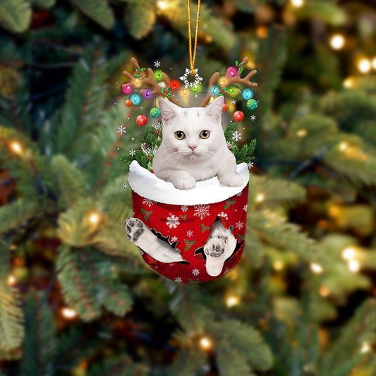 Cat 45 In Snow Pocket Christmas Ornament - Best gifts your whole family