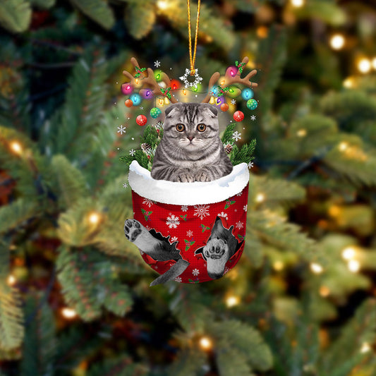 Cat 5 In Snow Pocket Christmas Ornament - Best gifts your whole family