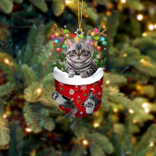 Cat 6 In Snow Pocket Christmas Ornament - Best gifts your whole family