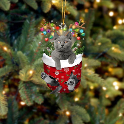 Cat 7 In Snow Pocket Christmas Ornament - Best gifts your whole family
