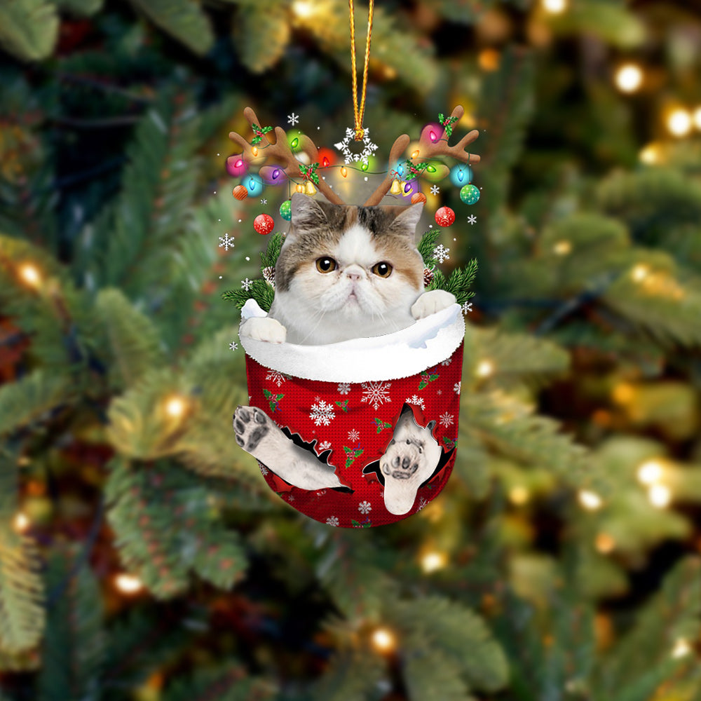 Cat 8 In Snow Pocket Christmas Ornament - Best gifts your whole family