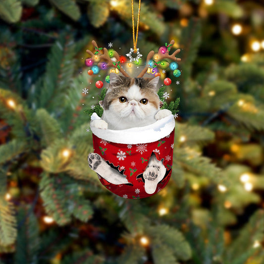 Cat 8 In Snow Pocket Christmas Ornament - Best gifts your whole family