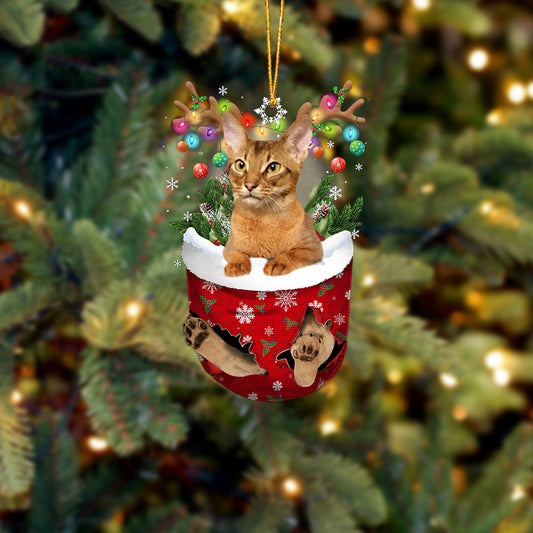 Cat Abyssinian In Snow Pocket Christmas Ornament - Best gifts your whole family