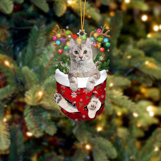 Cat American Curl In Snow Pocket Christmas Ornament - Best gifts your whole family