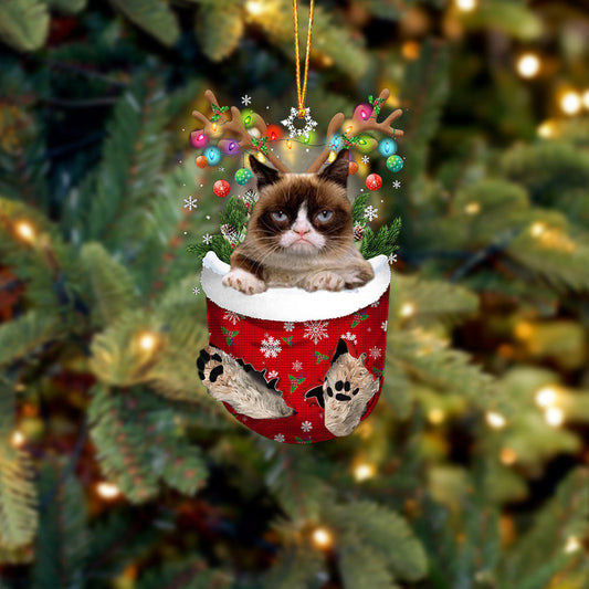 Cat Grumpy In Snow Pocket Christmas Ornament - Best gifts your whole family