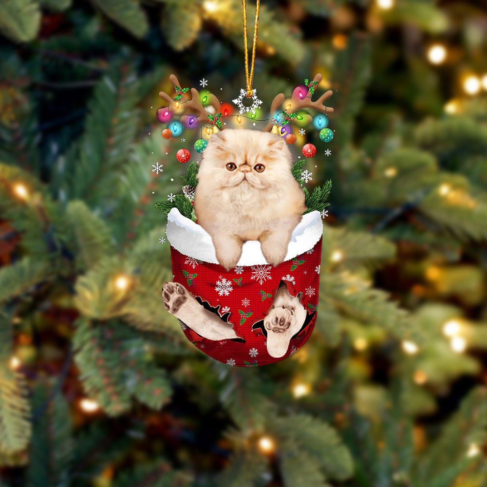 Cat Persian In Snow Pocket Christmas Ornament - Best gifts your whole family