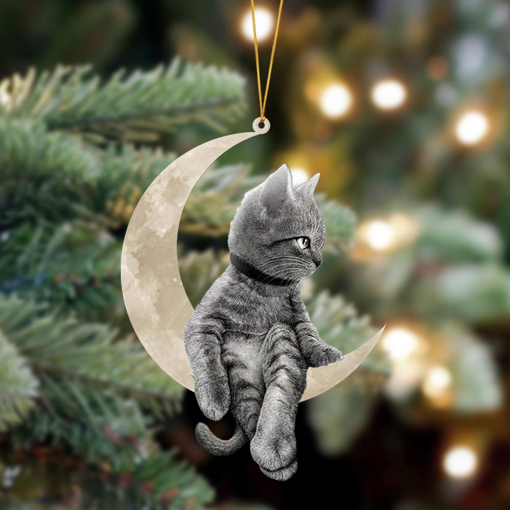 Cat Sits On The Moon Hanging Ornament, Animal Christmas Ornaments - Best gifts your whole family