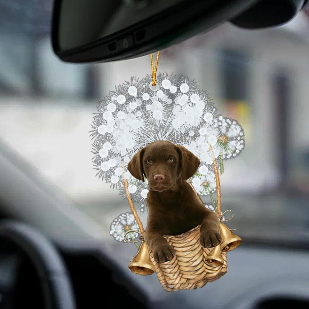 Chesapeake Bay Retriever-Dandelion-Two Sided Ornament - Best gifts your whole family