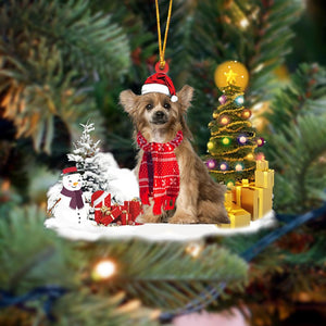 Chinese Crested Christmas Ornament Christmas Tree Hanging Acrylic Ornament Gift - Best gifts your whole family