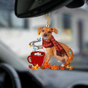 Chiweenie 1-Fall Chocolate-Two Sided Ornament - Best gifts your whole family