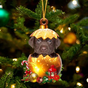 CHOCOLATE Labrador In Golden Egg Christmas Ornament - Best gifts your whole family