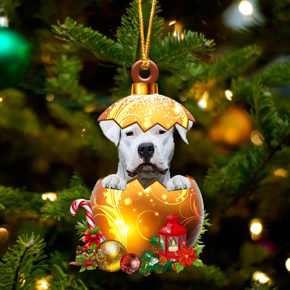 Dogo Argentino In Golden Egg Christmas Ornament - Best gifts your whole family