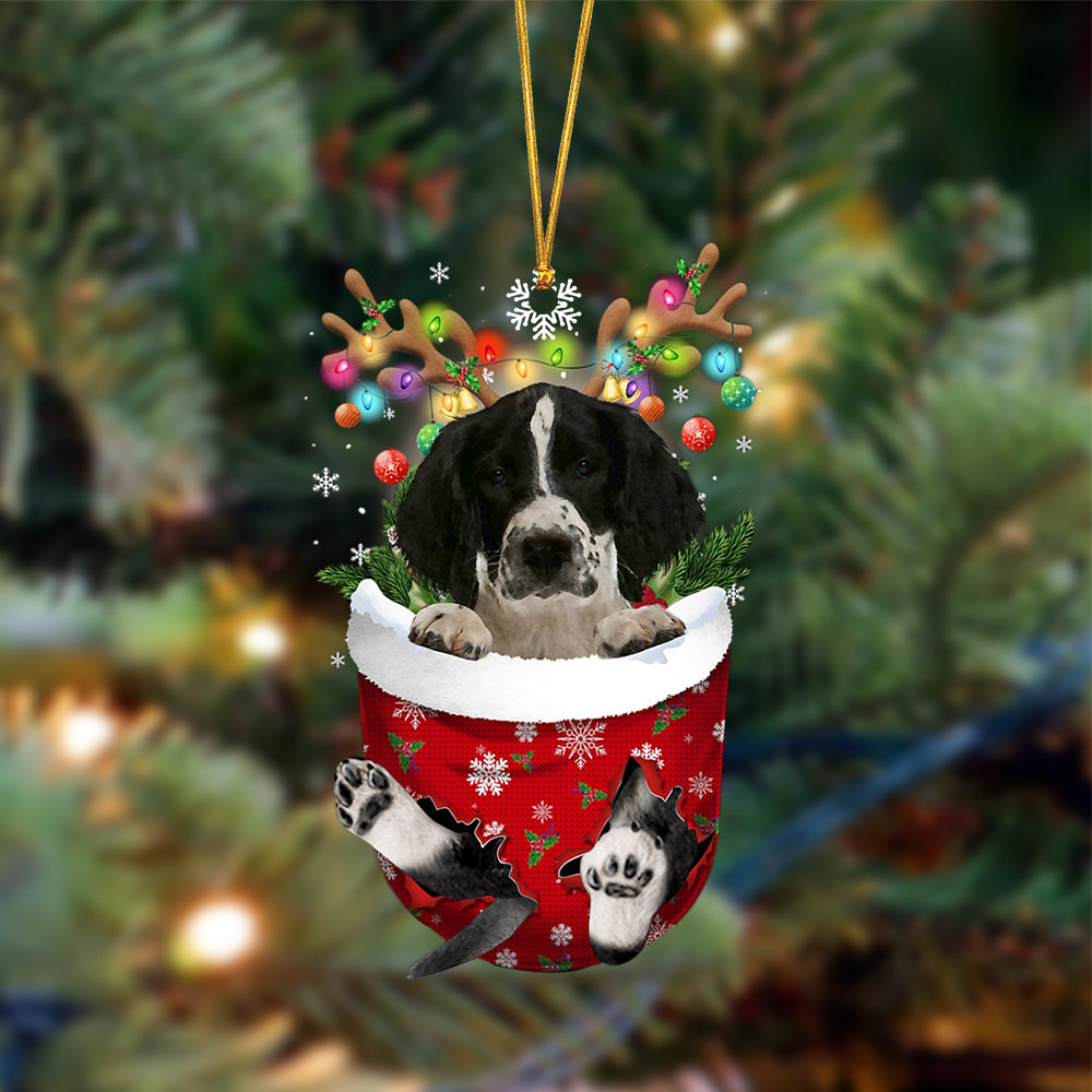 English Springer Spaniel 2-In Christmas Pocket Two Sides Ornament, Christmas Ornament, Car Ornament - Best gifts your whole family