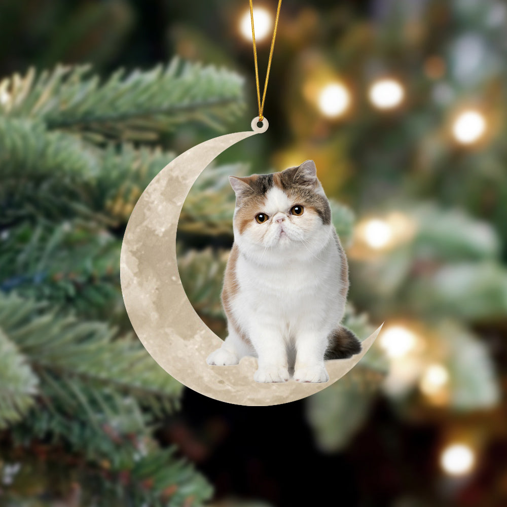 Exotic Shorthair Cat Sits On The Moon Hanging Ornament Cat Christmas Acrylic Ornament - Best gifts your whole family