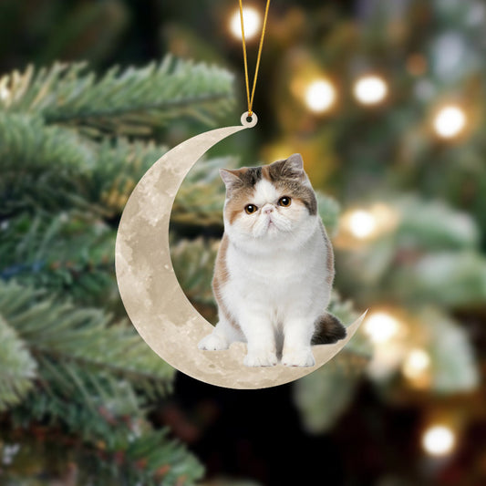 Exotic Shorthair Cat Sits On The Moon Hanging Ornament Cat Christmas Acrylic Ornament - Best gifts your whole family