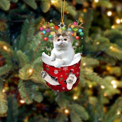 Exotic Shorthair In Snow Pocket Christmas Ornament - Best gifts your whole family