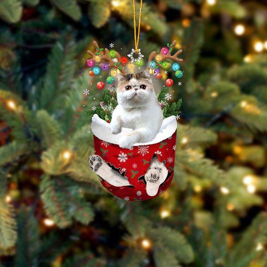 Exotic Shorthair In Snow Pocket Christmas Ornament - Best gifts your whole family