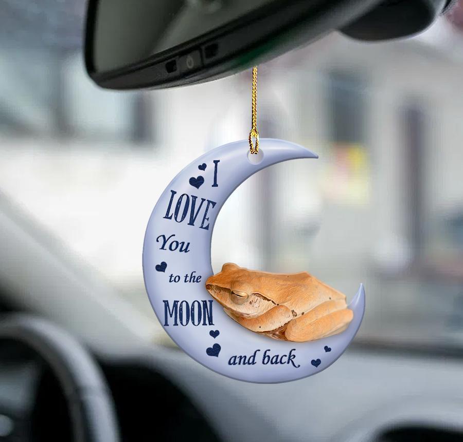 Frog Moon Back Frog Lover Two Sided Ornament - Best gifts your whole family