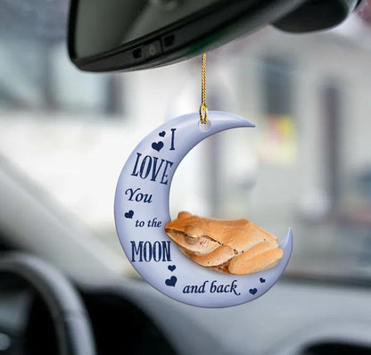 Frog Moon Back Frog Lover Two Sided Ornament - Best gifts your whole family