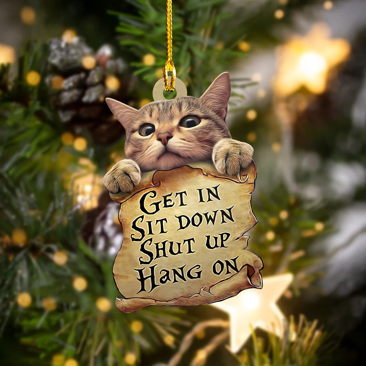 Funny Cat Hanging Ornament, Get In Sit Down Shut Up Hang On Cat Flat Acrylic Ornament - Best gifts your whole family