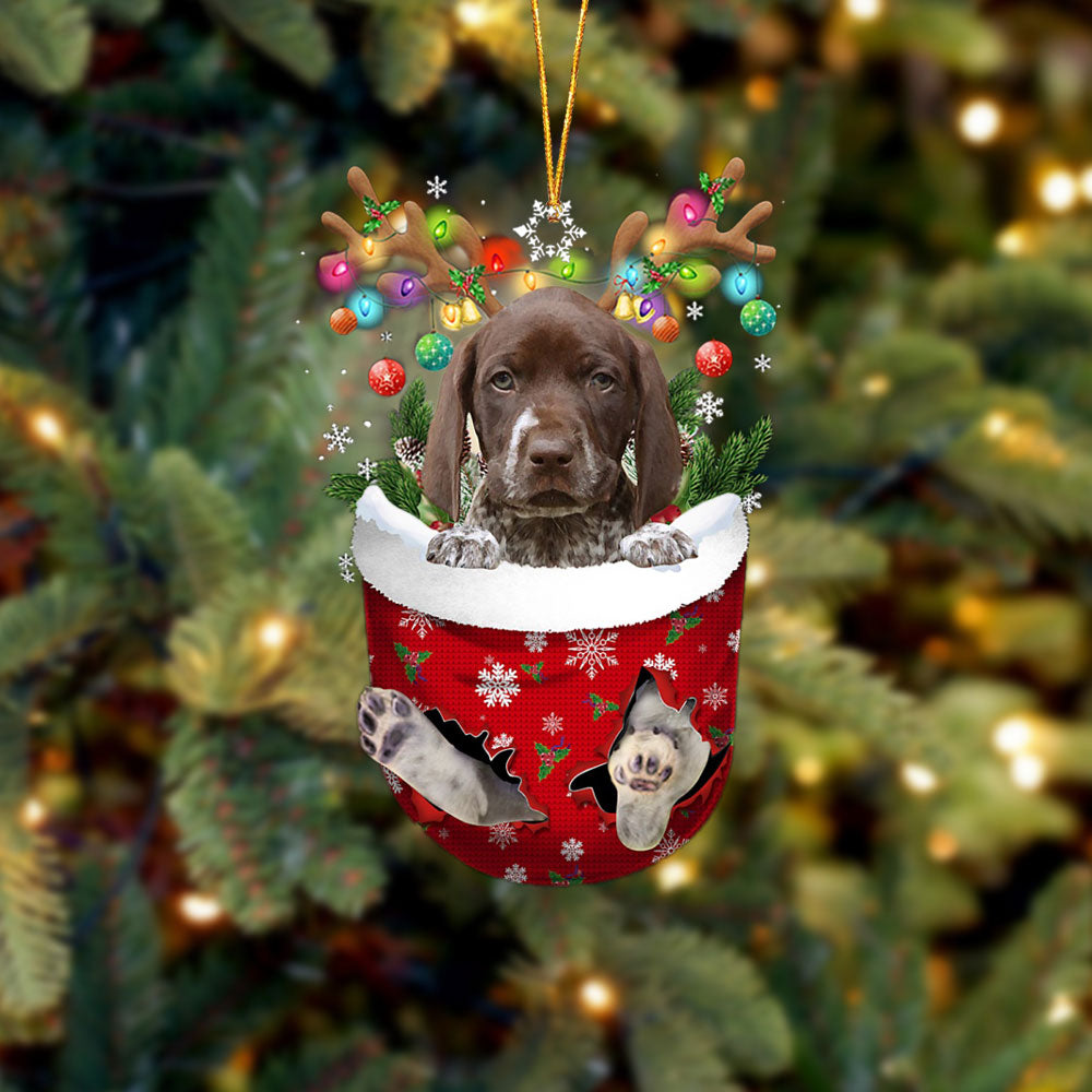 German Shorthaired Pointer In Snow Pocket Christmas Ornament Flat Acrylic Dog Ornament - Best gifts your whole family