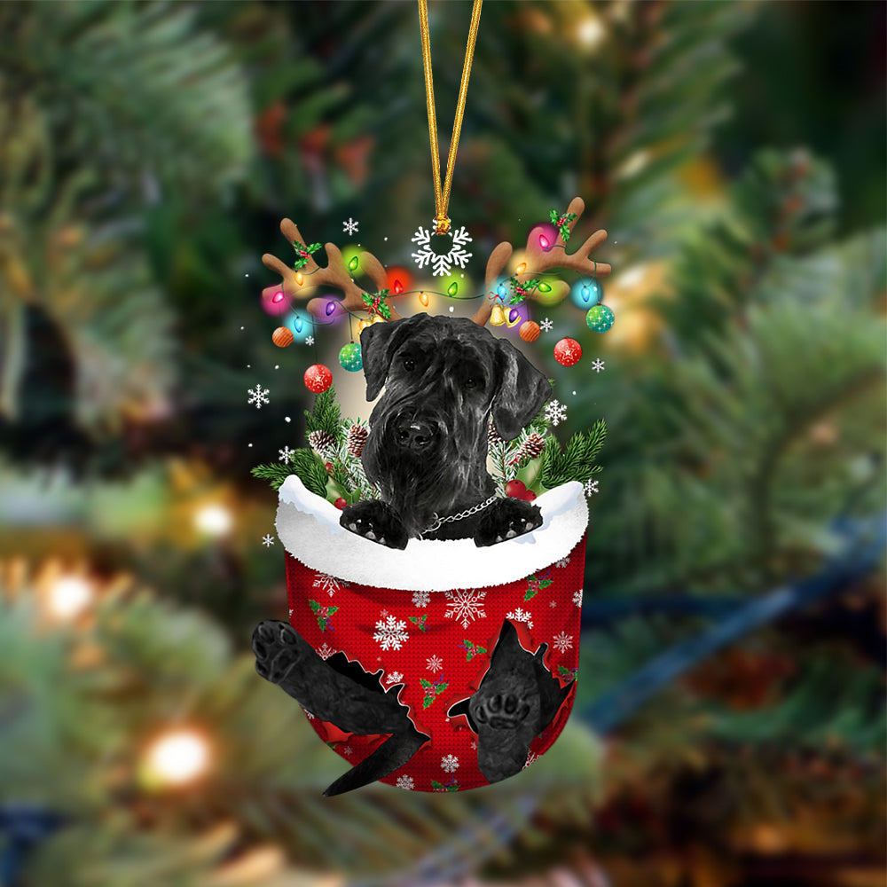 Giant Schnauzer-In Christmas Pocket Two Sides Ornament, Christmas Dog Hanging Ornament - Best gifts your whole family
