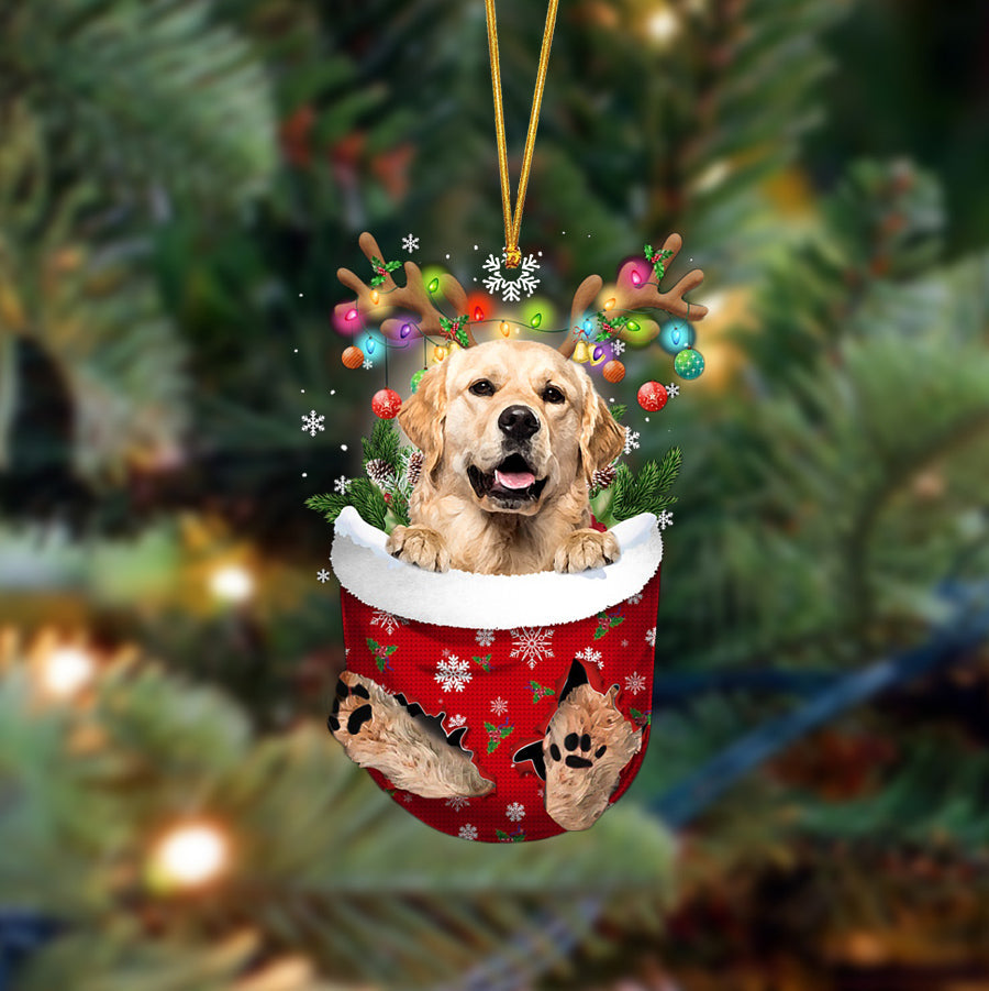 Golden Retriever-In Christmas Pocket Two Sides Ornament, Christmas Dog Hanging Ornament - Best gifts your whole family