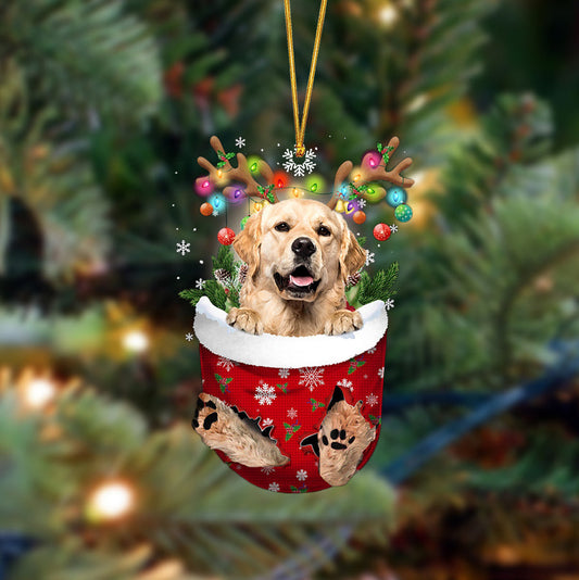 Golden Retriever-In Christmas Pocket Two Sides Ornament, Christmas Dog Hanging Ornament - Best gifts your whole family