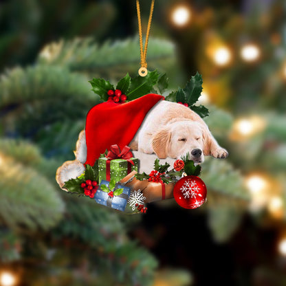 Golden Retriever-Sleeping In Hat Two Sides Ornament Dog Sleeping Ornament - Best gifts your whole family