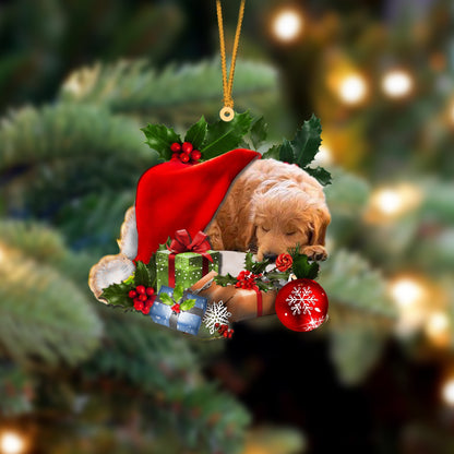 Goldendoodle-Sleeping In Hat Two Sides Ornament Dog Sleeping Ornament - Best gifts your whole family