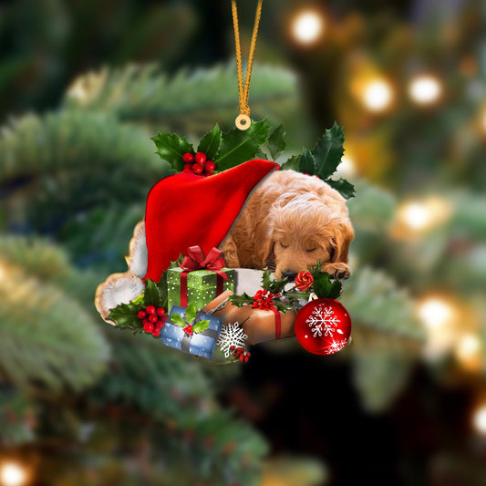 Goldendoodle-Sleeping In Hat Two Sides Ornament Dog Sleeping Ornament - Best gifts your whole family
