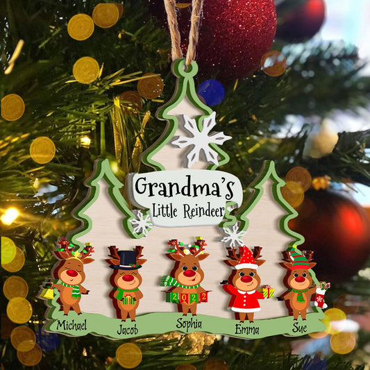 Grandma and Grandkids Christmas Ornament - Best gifts your whole family