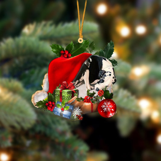 Great Dane-Sleeping In Hat Two Sides Ornament Dog Sleeping Ornament - Best gifts your whole family