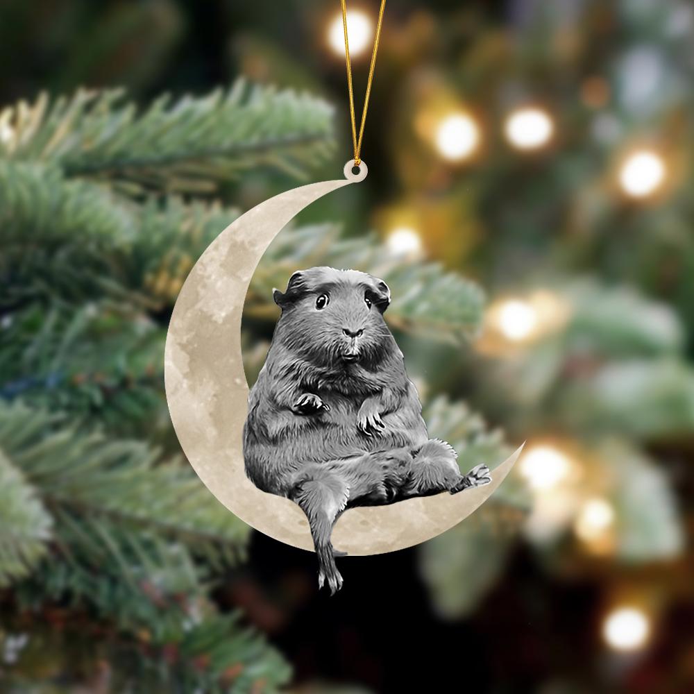 Guinea Sits On The Moon Hanging Ornament, Animal Christmas Ornaments - Best gifts your whole family