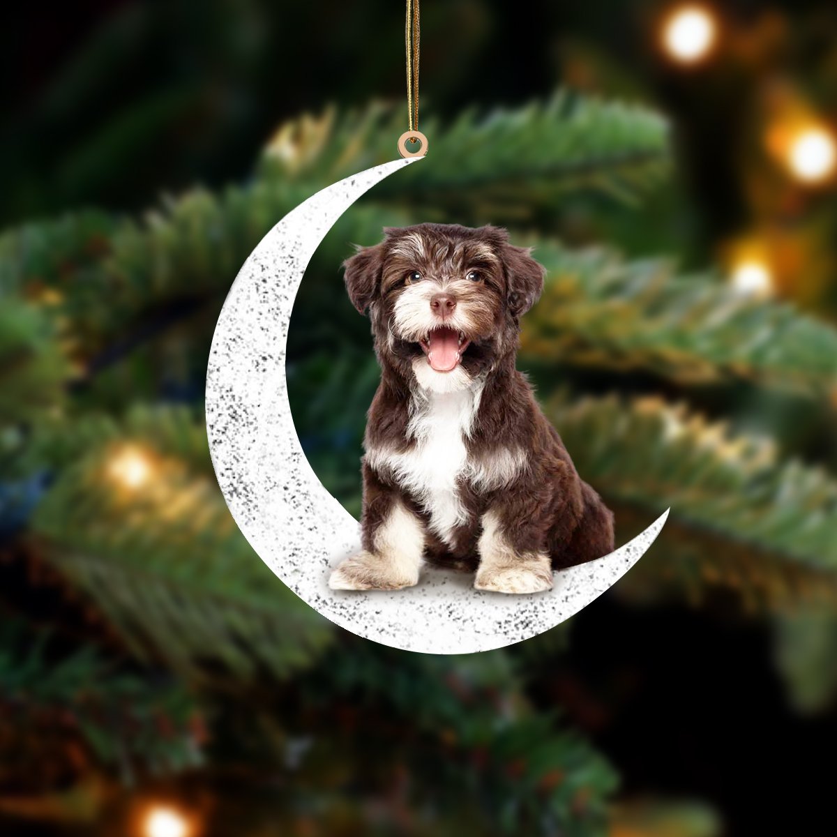 Havanese 2-Sit On The Moon-Two Sided Ornament - Best gifts your whole family