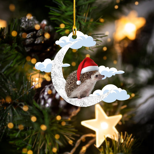 Hedgehog Shaped Ornament Nt168-Ct-1145 Car Ornament - Best gifts your whole family