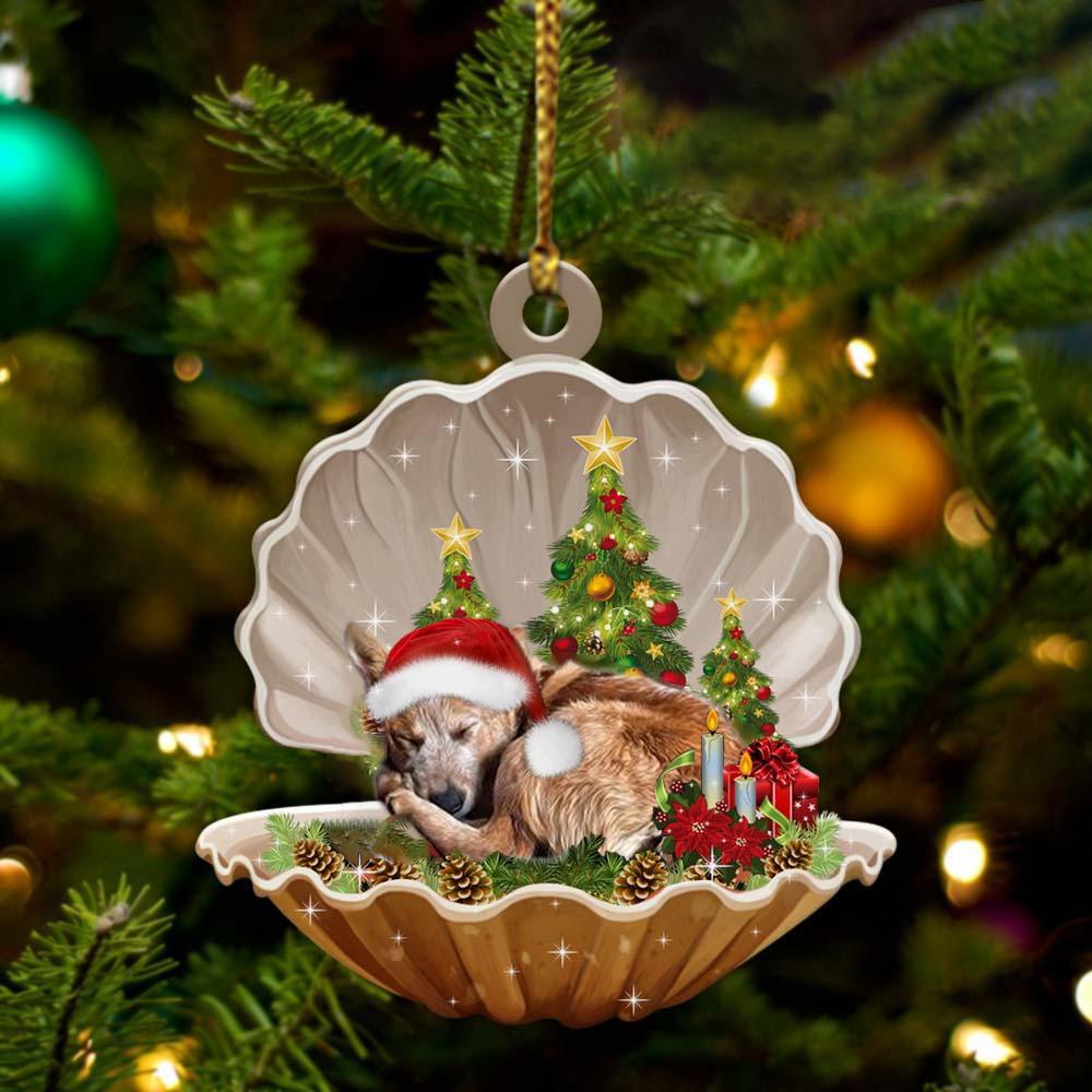 Heeler3-Sleeping Pearl In Christmas Two Sided Ornament - Best gifts your whole family