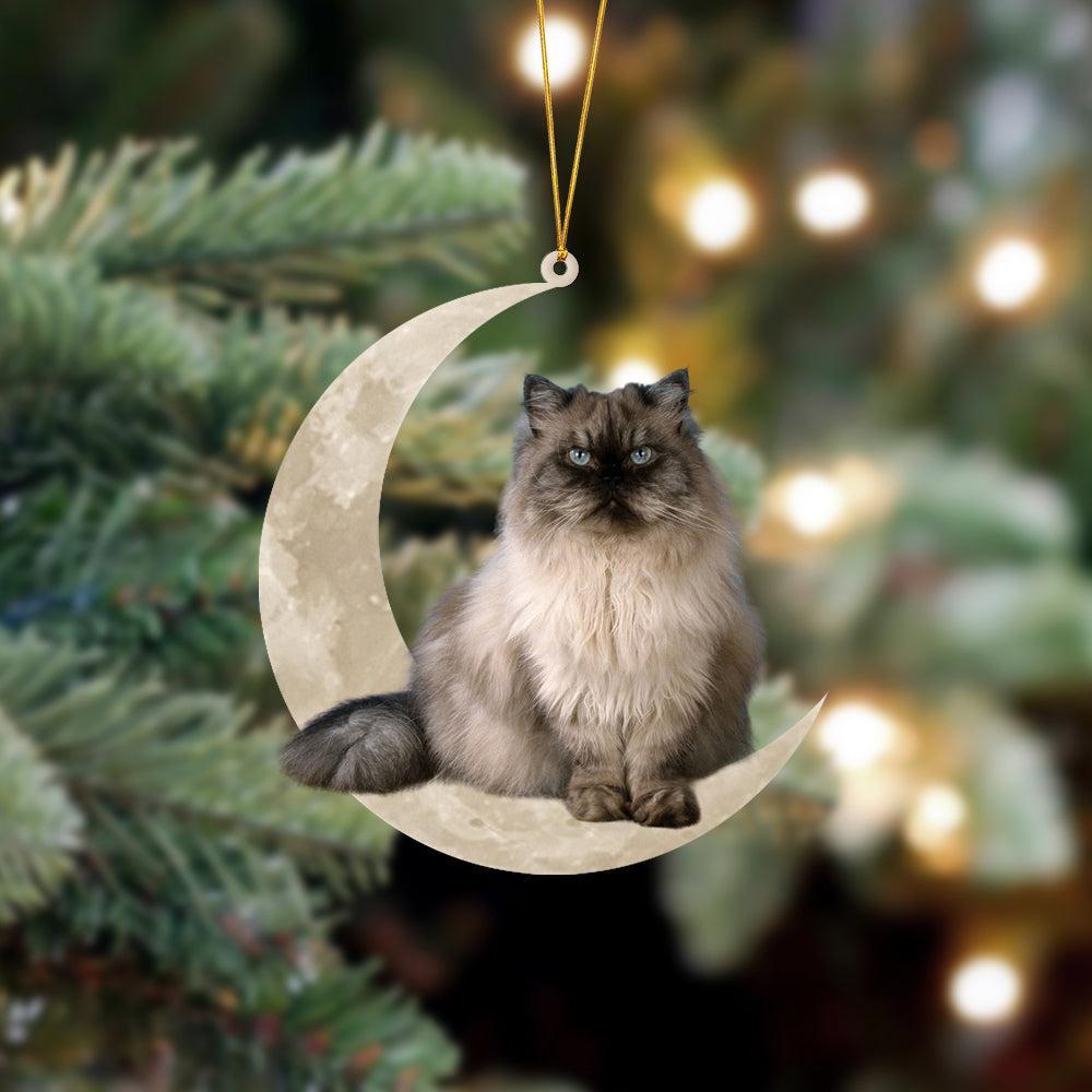 Himalayan Cat Sits On The Moon Hanging Ornament Cat Christmas Acrylic Ornament - Best gifts your whole family