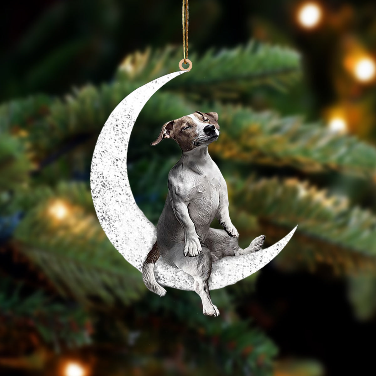 Jack Russell Terrier Sit On The Moon Two Sided Ornament Dog Hanging Christmas Ornament - Best gifts your whole family