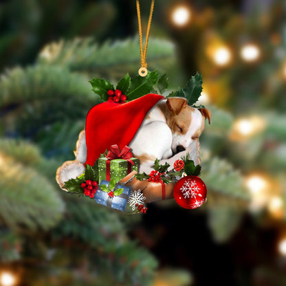 Jack Russell Terrier-Sleeping In Hat Two Sides Ornament Dog Sleeping Ornament - Best gifts your whole family