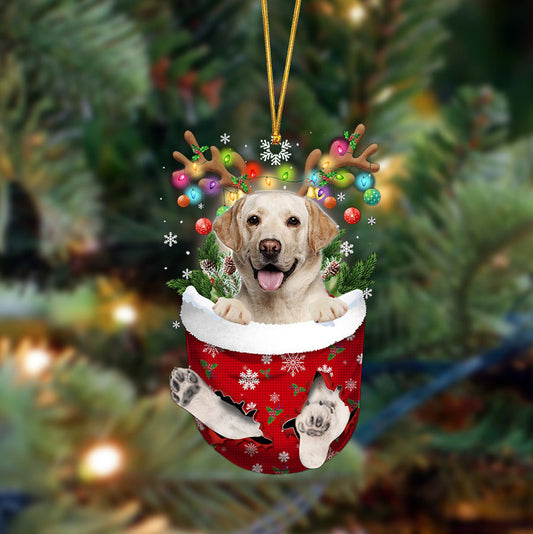 Labrador-In Christmas Pocket Two Sides Ornament, Christmas Dog Hanging Ornament - Best gifts your whole family