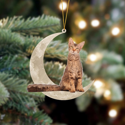 LaPerm Cat Sits On The Moon Hanging Ornament - Best gifts your whole family
