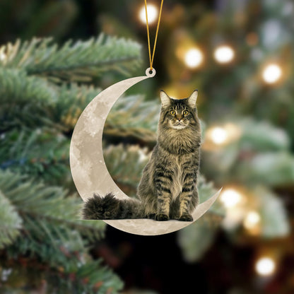 Maine Coon Cat Sits On The Moon Hanging Ornament Cat Christmas Acrylic Ornament - Best gifts your whole family
