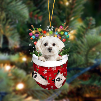 Maltese-In Christmas Pocket Two Sides Ornament, Christmas Dog Hanging Ornament - Best gifts your whole family
