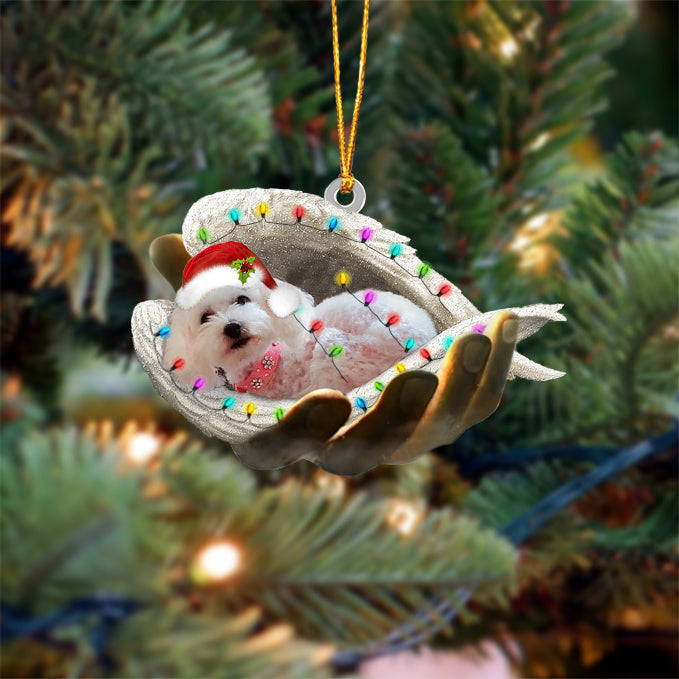 Maltipoo - Best gifts your whole family