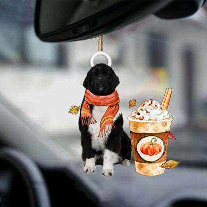 Newfoundland 1-Pumpkin Spice Kinda-Two Sided Ornament - Best gifts your whole family