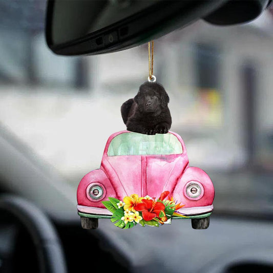 Newfoundland-Pink Hippie Car-Two Sided Ornament - Best gifts your whole family